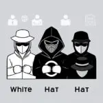 all types of hackers