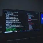 kali linux
