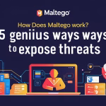 How Does Maltego Work showing on desktop