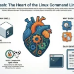 what is the default shell in linux called