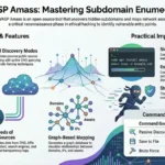 amass subdomain finder